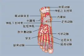 0P6?足&?jQ￥籷3抾蘅RUa鲖u,<a href=