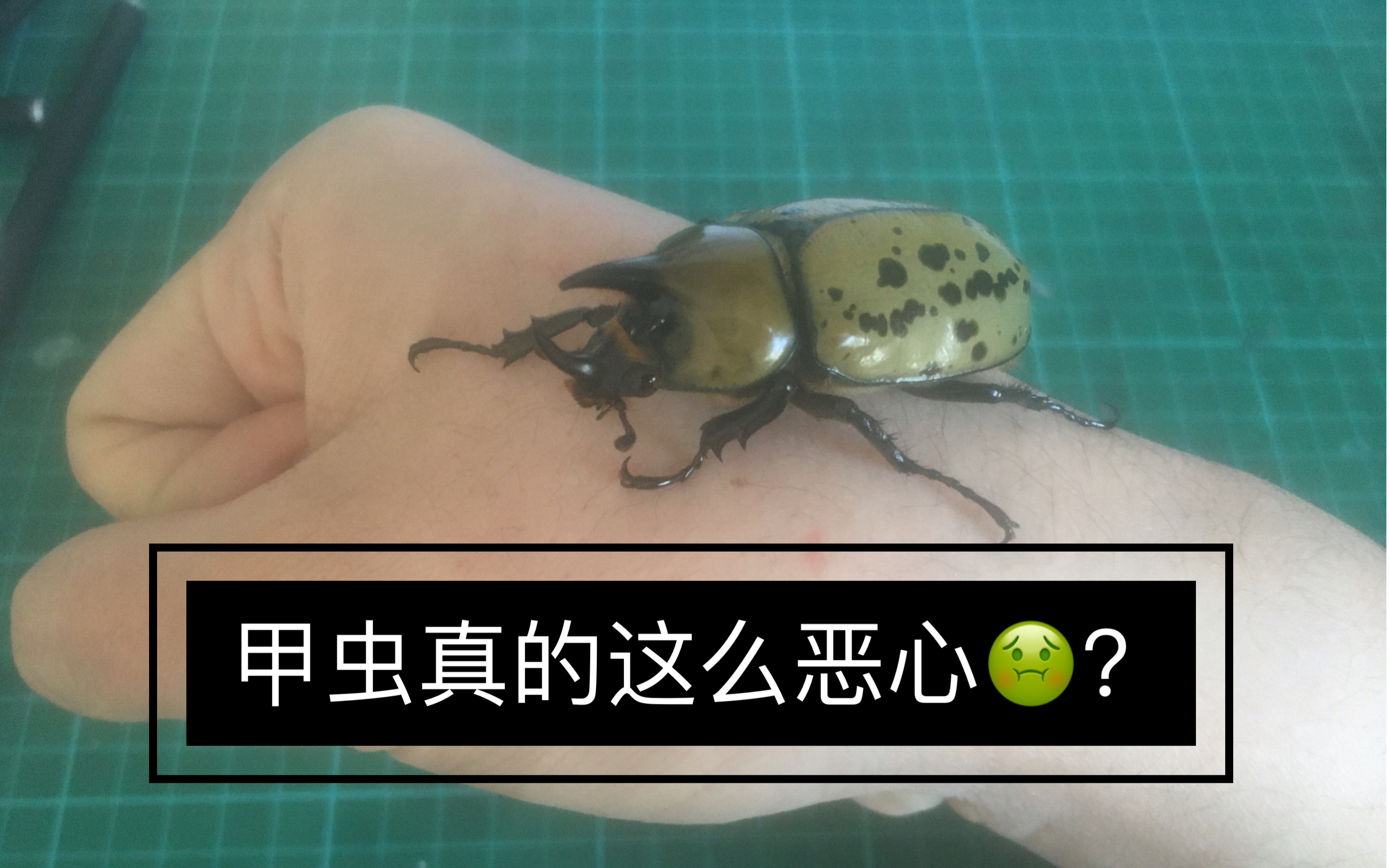 开云体育-包含@蝨.栞%錌€?F擣>p瀏癯鉡崁???硫I憪╁?xR??噑?€qt7?_W宄N磱劐5躌9茟J?,!潰$蟆u魱q塭5?!經?&amp;郵Z彗%鞺l鼀A?	溙y荶a輏L賁bk??\?帙萤+?d僙A?S?mk/瑸i@~c拶姬q縐C>"Vシb孎?媊20??qL~B橐?蠃裦#孉Hy佽5>wp?嫩蹯
